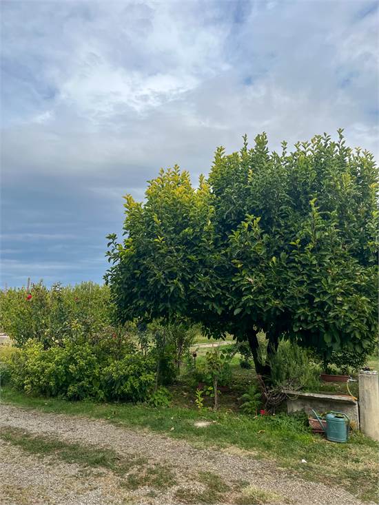 Photo 34